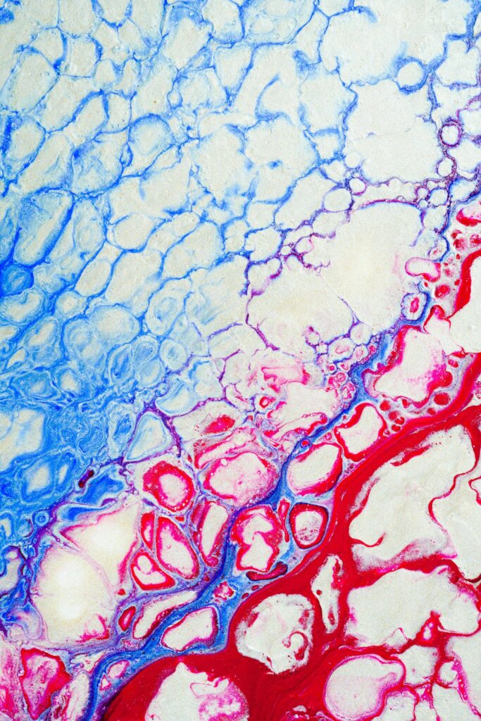 血管 1 血管、動脈と静脈の様子