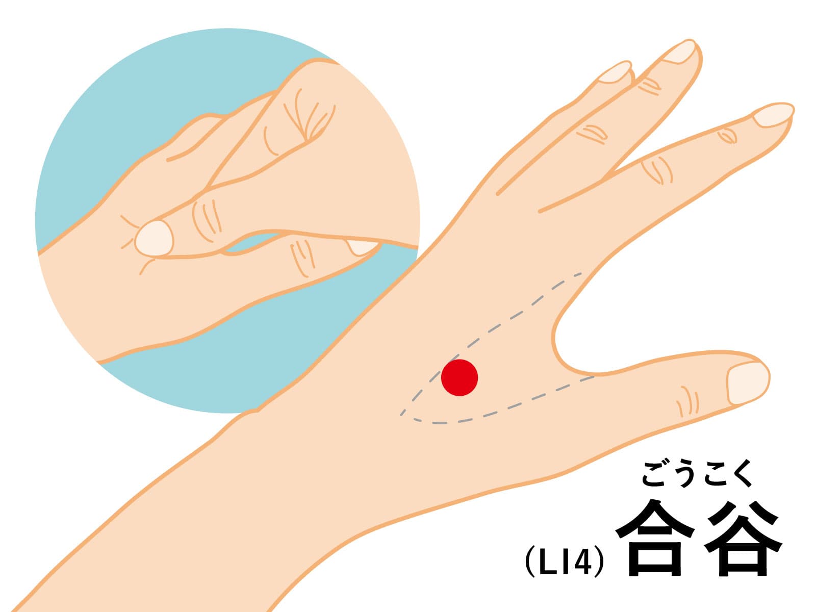合谷の場所示したツボのイラスト