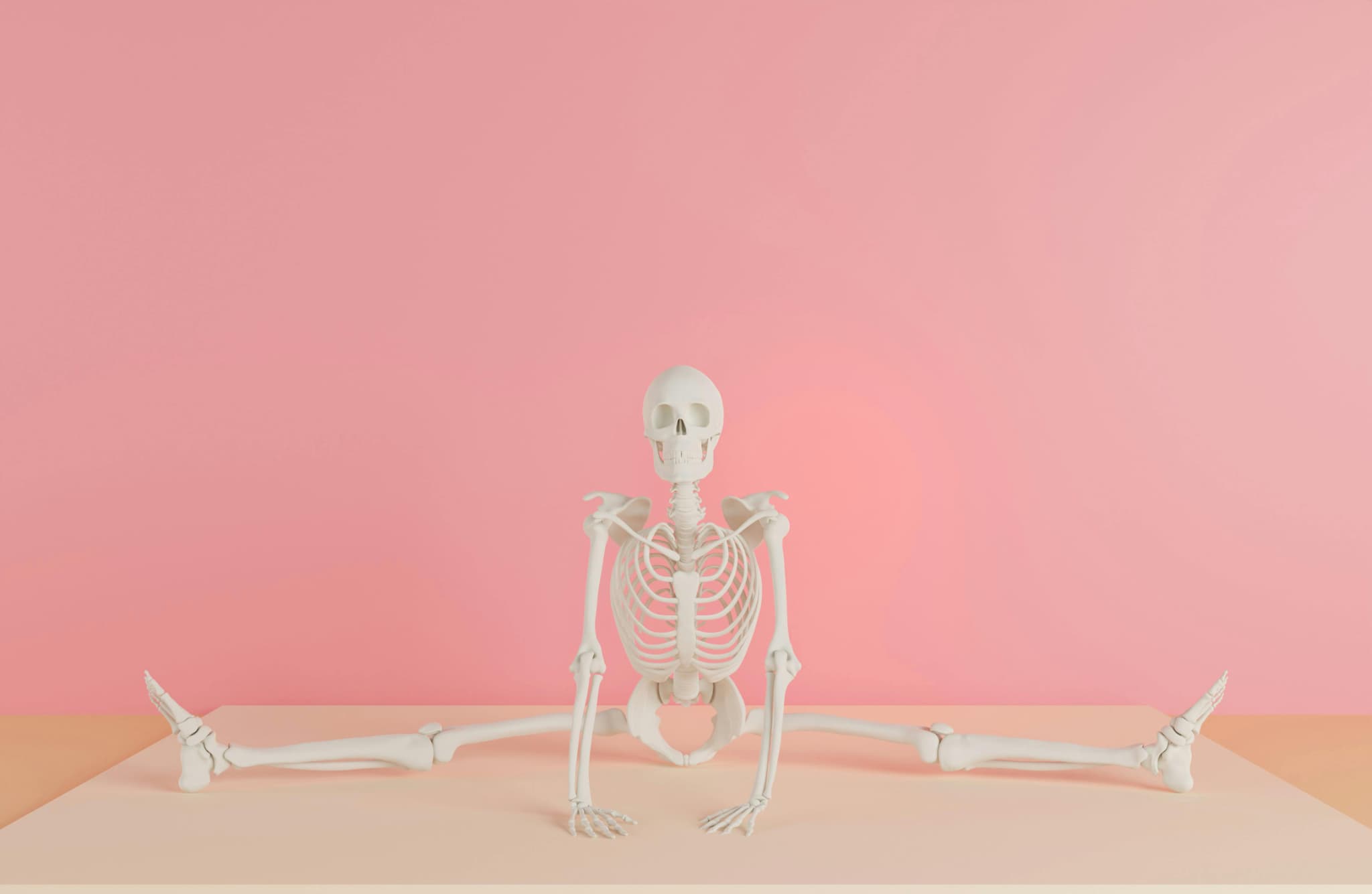 ボキボキしない整体のイメージで骨格標本の写真