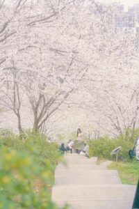 【春は肝臓に負担がかかる季節】整体で体を整えよう