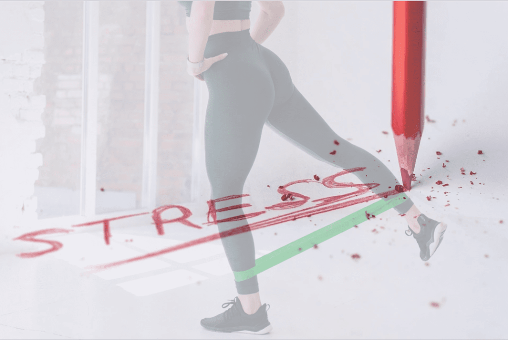 細胞の歴史と個の物語 5 ストレスでヒップラインが崩れる? 〜整体で美しい姿勢と体型を取り戻す〜