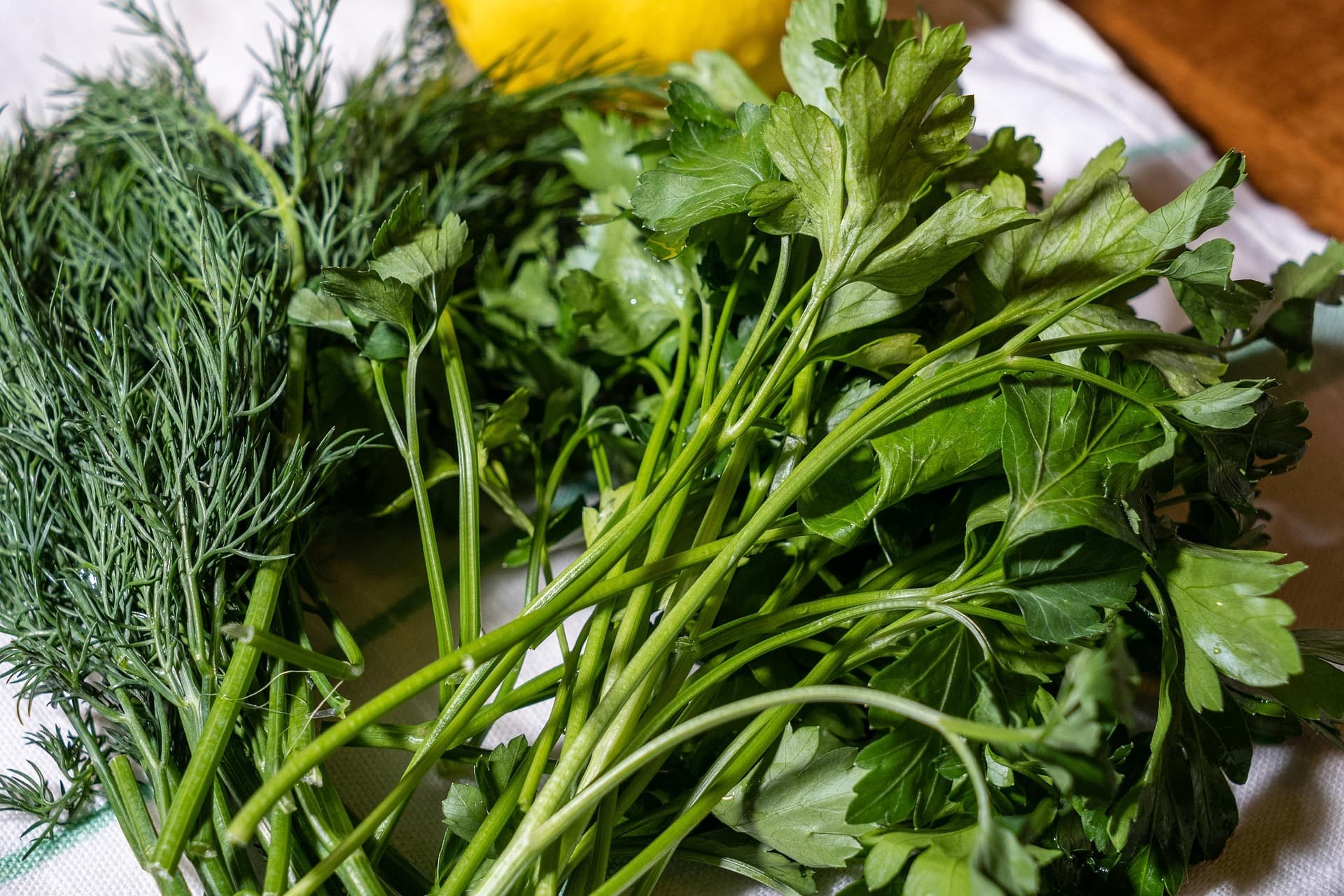 名脇役じゃない、実は主役。イタリアンパセリが体にやさしい理由