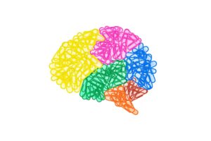 腹筋が脳を洗っている？ 最新研究から見える体のつながり