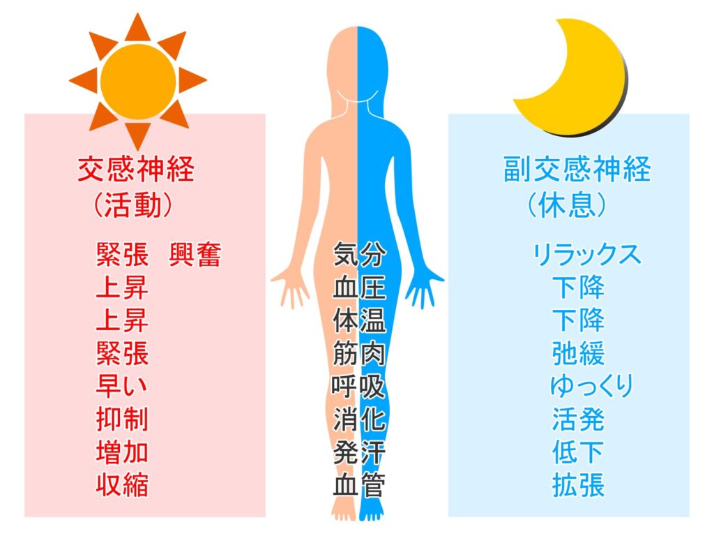 【#21】肺経とは何か?~呼吸は、身体と心をつなぐ~ 5 1442003 1