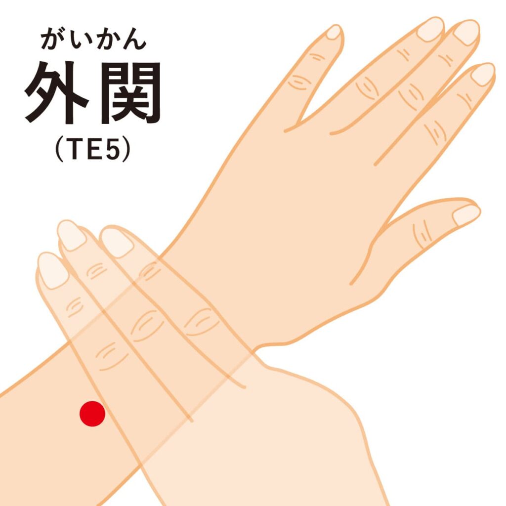 【#13】三焦経とは何か?~見えないつながりの土台~ 5 外関
