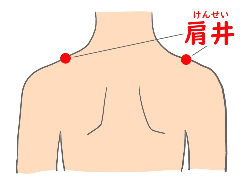 【#14】作業療法士は腎経・心包経・三焦経を臨床でどう扱えばいいのか? 11 肩井の画像