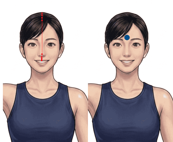 督脈と第6チャクラpng